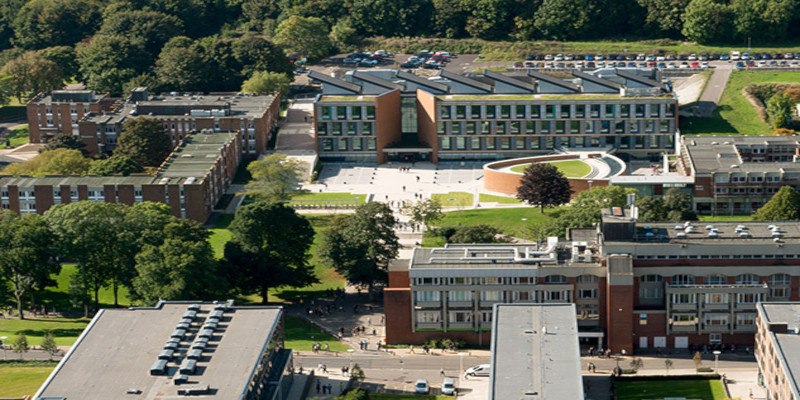 Sussex Üniversitesi