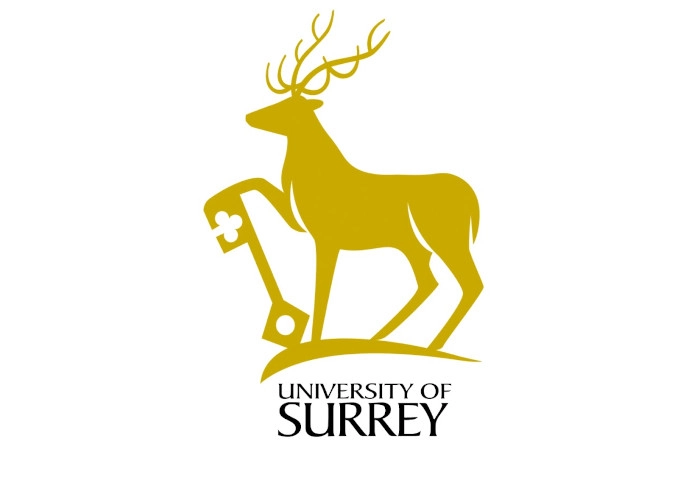 Surrey Üniversitesi