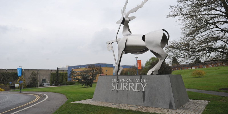 Surrey Üniversitesi